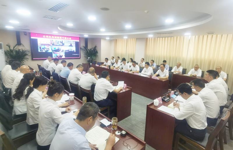 公司召开机构调整暨干部（视频）大会