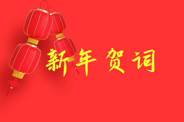 勇立潮头，乘势而上 奋力开创公司高质量发展新局面——2025年新年贺词