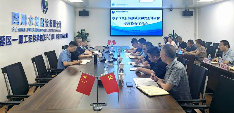 罗雪一行赴亭子口灌区一期工程I标开展防汛减灾和安全环水保专项检查
