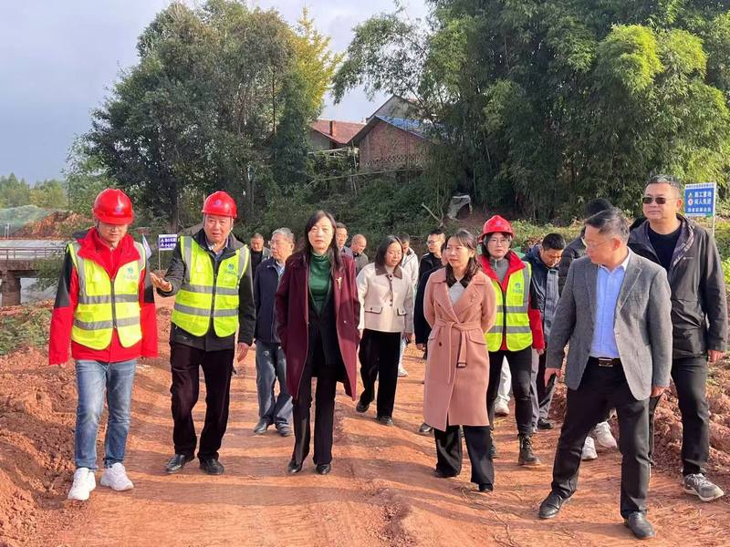 水利厅赴乐至县小阳化河童家镇陈家祠段防洪治理工程调研指导工作