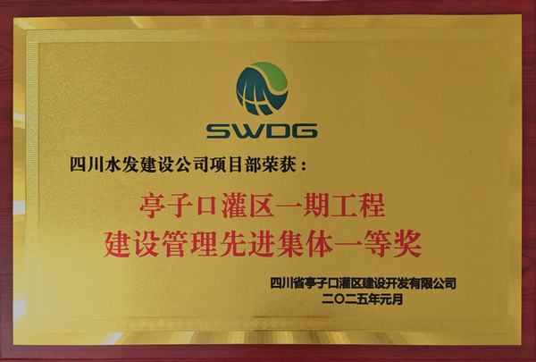 新岁奋楫，笃行不怠 公司荣获亭子口项目业主表彰