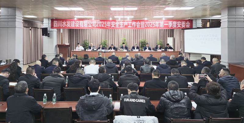 2025年安全生产工作会议暨2025年第一季度安全生产委员会会议召开